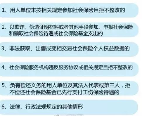 新澳门一码一肖一特一中与高考解析，展望未来的教育蓝图（2024年高考精选解析）