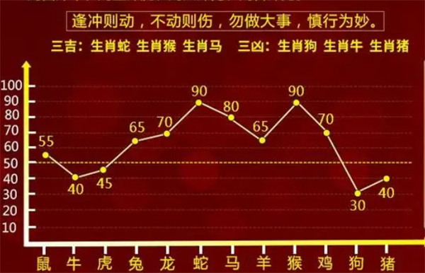 关于白小姐一肖一码100正确，精选解析、解释与落实