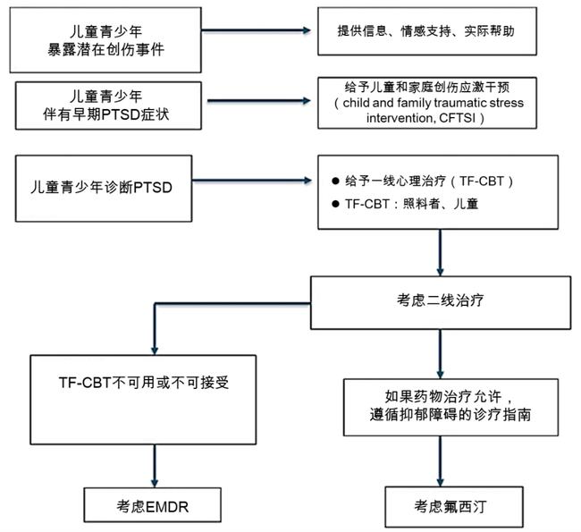 新澳天天开奖资料大全解析，第272期的详细解读与解析